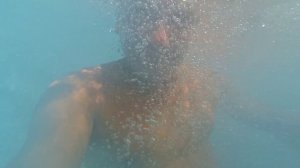 Пластмассовый мир победил