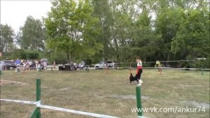 Александра Комарова и энтлебухер зенненхунд Шкода (Екатеринбург)