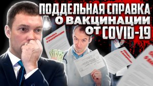 Поддельный СЕРТИФИКАТ о ВАКЦИНАЦИИ от коронавируса // что грозит за его ПРИОБРЕТЕНИЕ и ИСПОЛЬЗОВАНИЕ