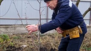 Урок 6.Потрясающие уроки обрезки сада!
Весна,лето, осень.
ПОДПИШИСЬ!