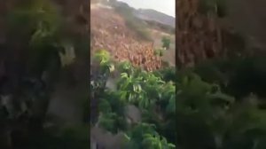 Так в Китае уток кормят