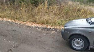 Лада Калина 1119: Звуковой сигнал GMP GTR99 410Hz/510Hz