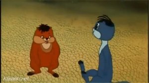 Мы хомяки и мы хомячим!