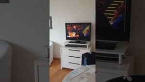 Рум-тур по бельгийской квартире