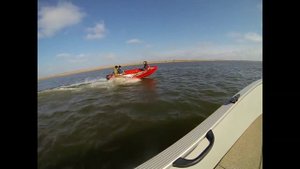 Тест Беркут XS