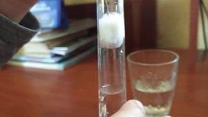 Как сделать инкубатор для муравьев видео для новичков