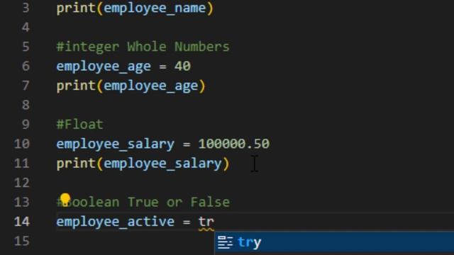 Python 3 for Beginners Learn Coding Basics, Language Fundamentals with Visual Studio Code on Window