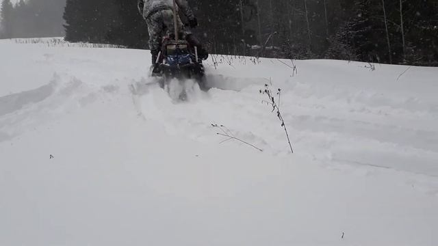 Реабилитация Каюра после поражения от Тайги ч.2 #тайга #тайгаваряг #итланкаюр смотреть онлайн