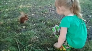 Белочка кушает грибочки