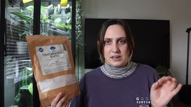 using DIATOMACEOUS EARTH on houseplants 🪴 смотреть онлайн