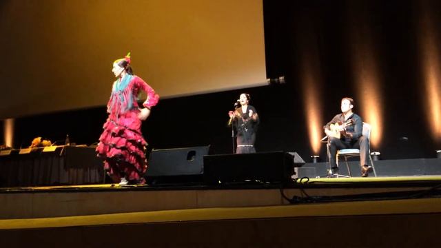 Фламенко, часть 1 / Flamenco show, part 1, ECCOMAS 2014