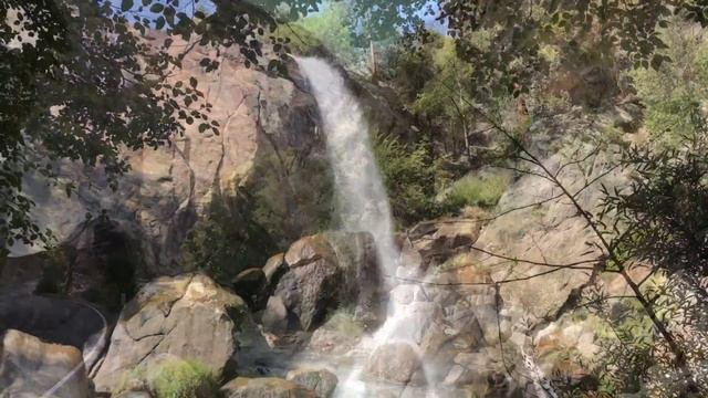 Trip to Sequoia National Park / Поездка в Национальный Парк Секвойя