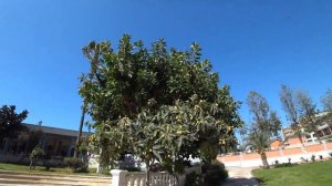 Турция 2021??Аланья Конаклы The Garden Beach Hotel 5. Обзор отеля: номера, территория, пляж.