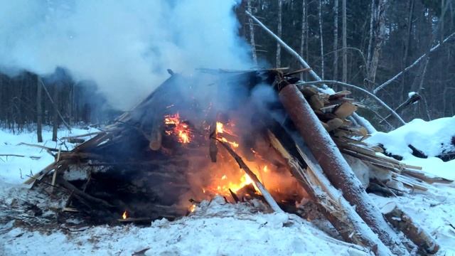 Дрова горят в лесу смотреть онлайн