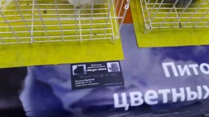 ЗооПалитра 2020 выставка мелких домашних грызунов: хомяков, шиншилл, дегу, кроликов, свинок