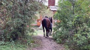 С Магнумом в Долине Скифов