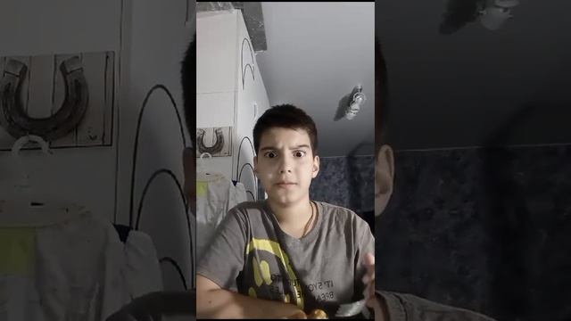 Палю лица