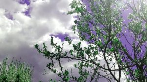 Страх перед 40-летием. Можно ли отмечать мужчинам и женщинам