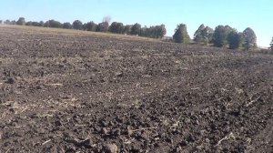 Культивация под пшеницу мтз80 кпс4.2