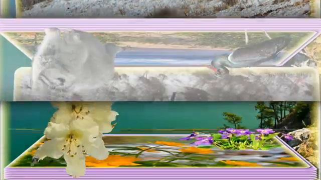 Заповедники озера Байкал смотреть онлайн