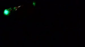 правильный сигнал ГАЗ 31 ноль двадцать девятая