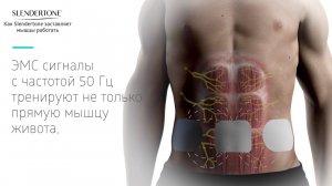 Как работает пояс-миостимулятор Slendertone