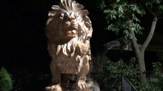 Прогулка по ночному парку Тайган! смотреть онлайн