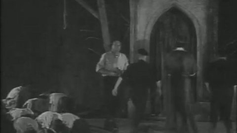 Белая Ворона