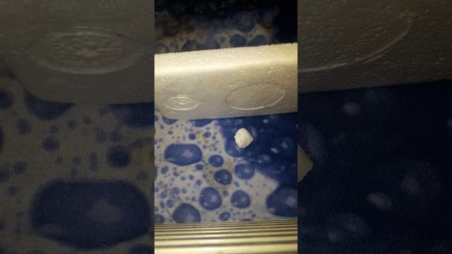 (ЧАСТЬ 2) ПЕНА ПЛАСТ смотреть онлайн