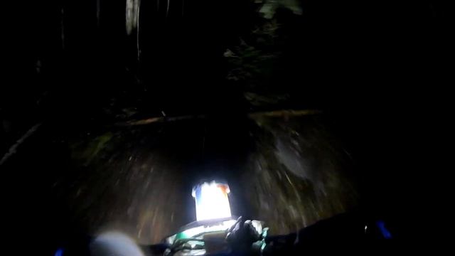 Ночью на kayo k1 в лесу смотреть онлайн