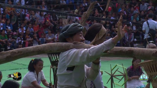 Anthurium Festival 2019- Day 2: MHIP REIEK ( Traditional Dsplays) смотреть онлайн