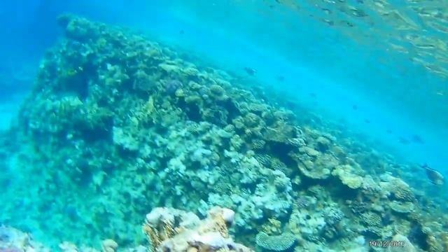 Рыбки красного моря! Экшн-камера EKEN H9 Ultra HD 4K