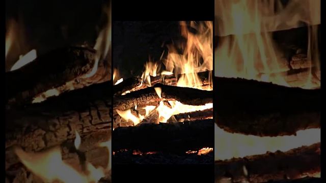 Звук костра на природе для вдохновения
