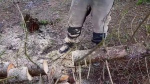 Цепная пила будущего!!! Какую цепную пилу купить домой?