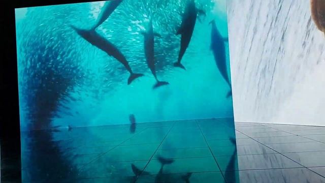 Я побывал в Музее воды в Санкт Петербурге смотреть онлайн