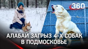 «Его хозяину плевать»: огромный алабай держит в страхе жителей посёлка