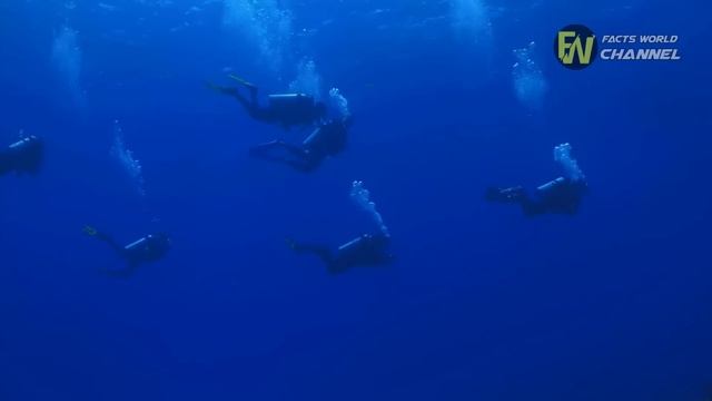 POLICE called in after diver's FIND in LOST ship's CARGO смотреть онлайн