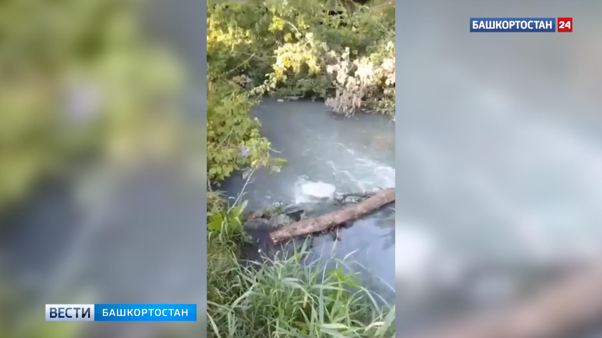 Зловонный запах, мертвая рыба и мутная вода: уфимцы сняли на видео состояние реки Шугуровки