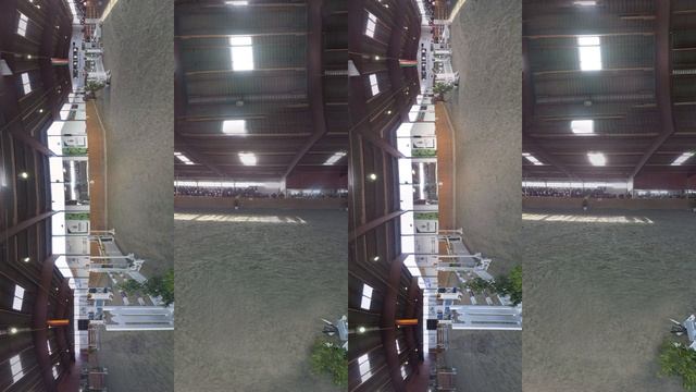 Horse Jumping Style Competition M 1.30 in stereoscopic 360 смотреть онлайн