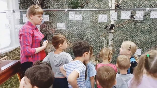 Молодёжная (старшая группа). Экскурсия в музей смотреть онлайн