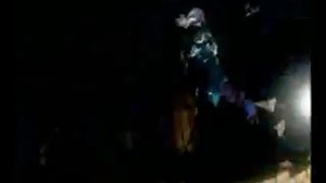 Профессор Лебединский и РР   Лимбо Бимбо