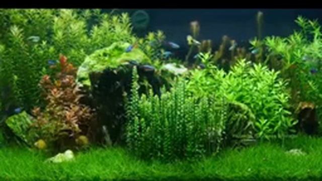 Расслабляющая музыка для сна (12 часов) смотреть онлайн