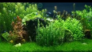 Расслабляющая музыка для сна (12 часов)