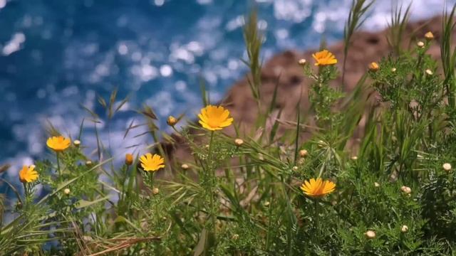 12 октября - Божественный день. Добро придёт в каждый дом | Лунный Календарь смотреть онлайн