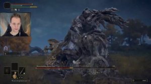 Плачущий Полуостров БОСС Воплощение Древа Эрд ► Elden Ring