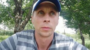 Фокстерьер ч. 1