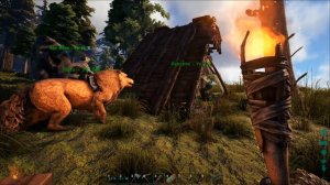 Ark Survival Evolved - ГИГАНТ В ДЕЛЕ! КАК СОБРАТЬ, ДОБЫТЬ ШКУРУ, МЕХ (PELT)?
