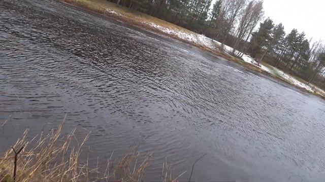 Весенняя рыбалка на реке Салаца на поплавок в проводку. Супер клёв морской плотвы. смотреть онлайн