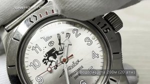 Обзор: Часы Восток 120658 Амфибия