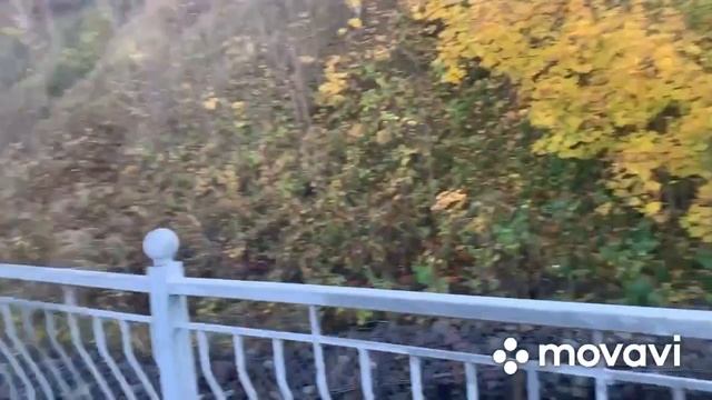 Не заблудись с Петровичем Калининградская область «Пионерский» смотреть онлайн